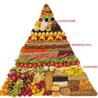 Egészséges táplálkozás 12 pontja dietetikusok ajánlásával